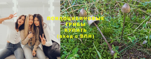 ГАЛЛЮЦИНОГЕННЫЕ ГРИБЫ Нижний Тагил